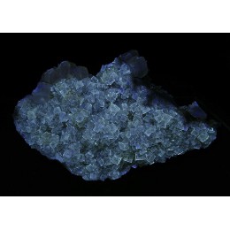 Fluorite fluorescent Moscona M03728